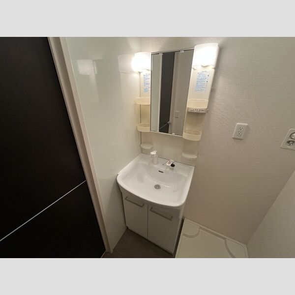 洗面所 (洗髪洗面化粧台)