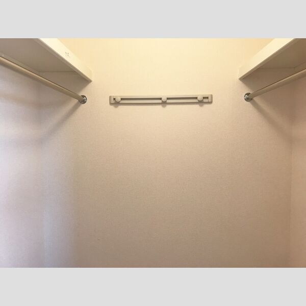 収納 (ウォークインクローゼット)