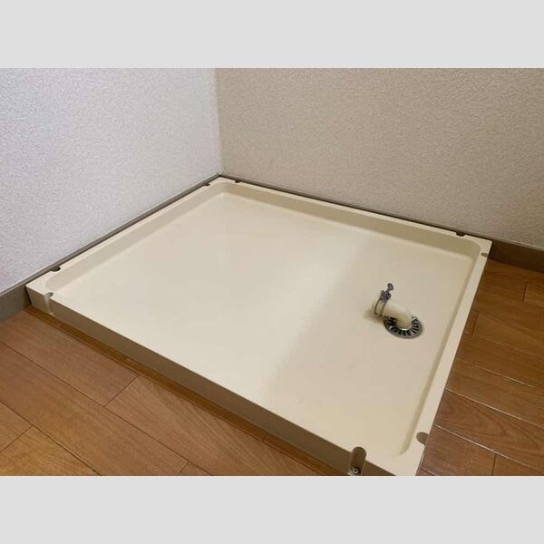 その他 (室内洗濯機置き場)