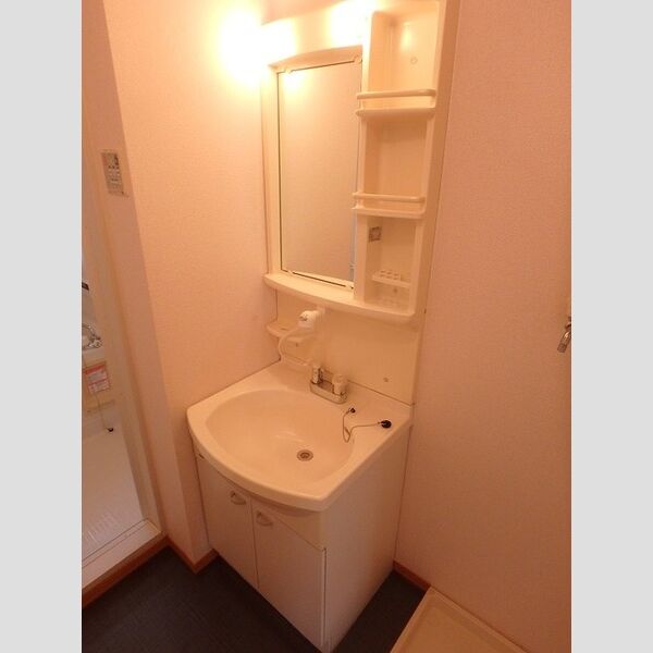 洗面所 (洗髪洗面化粧台)