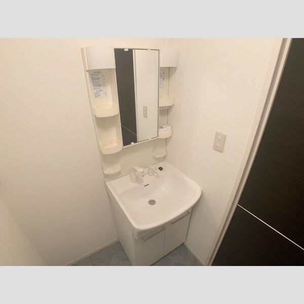 洗面所 (洗髪洗面化粧台)