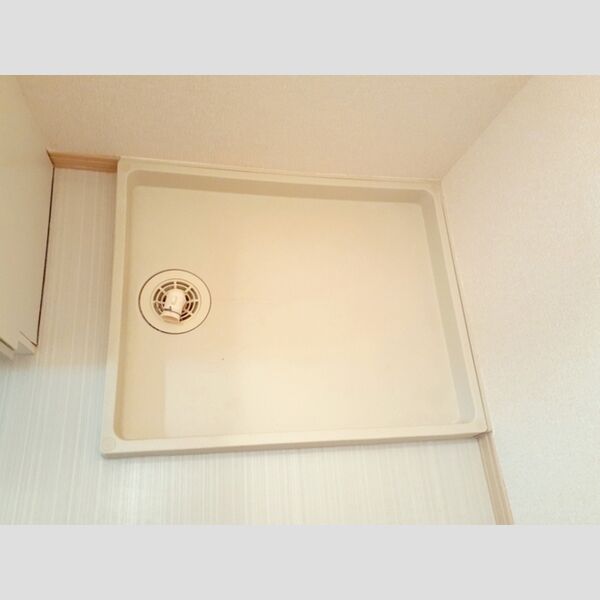 その他 (室内洗濯機置き場)
