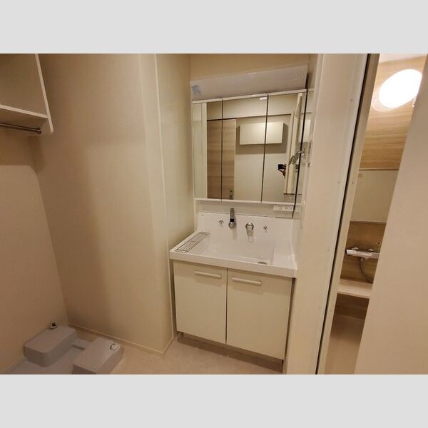 洗面所 (洗髪洗面化粧台)