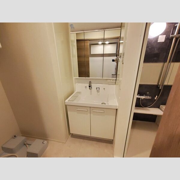 洗面所 (洗髪洗面化粧台)