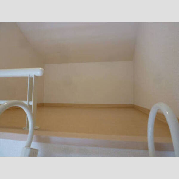 その他 (小屋裏収納)