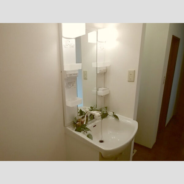 洗面所 (洗髪洗面化粧台)