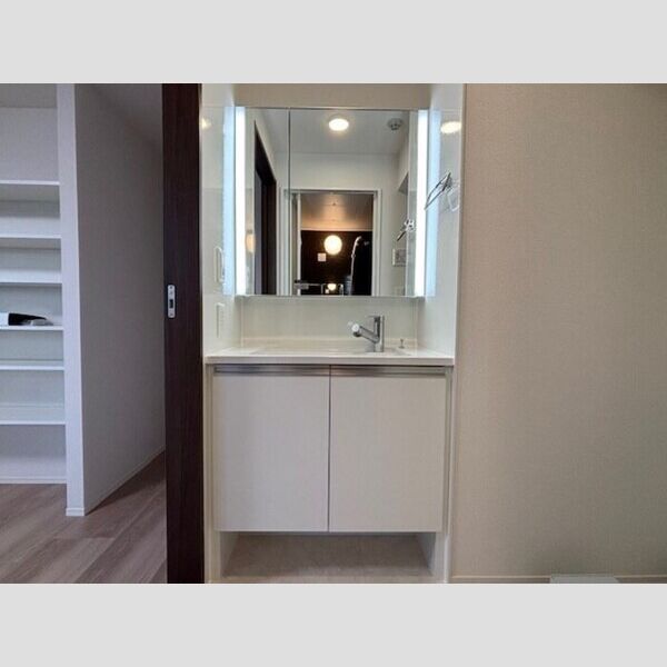 洗面所 (独立洗面台)