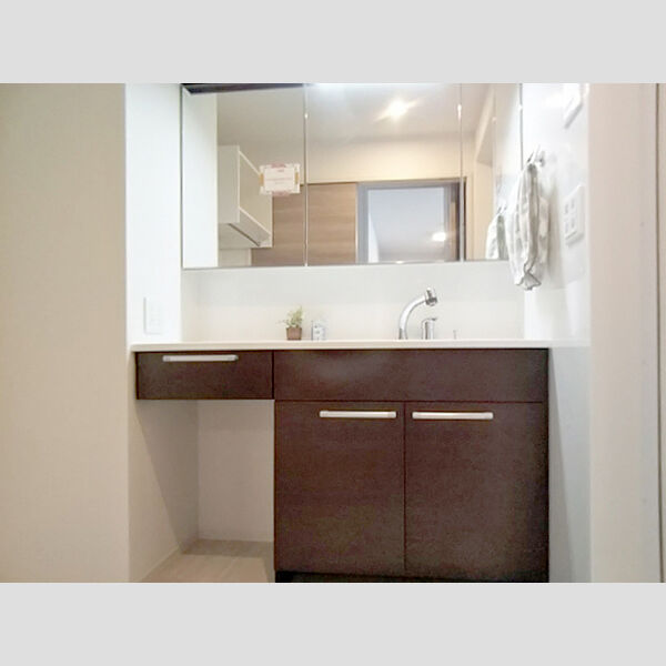 洗面所 (洗髪洗面化粧台)