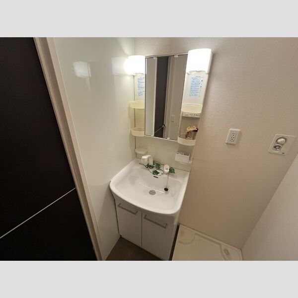 洗面所 (洗髪洗面化粧台)