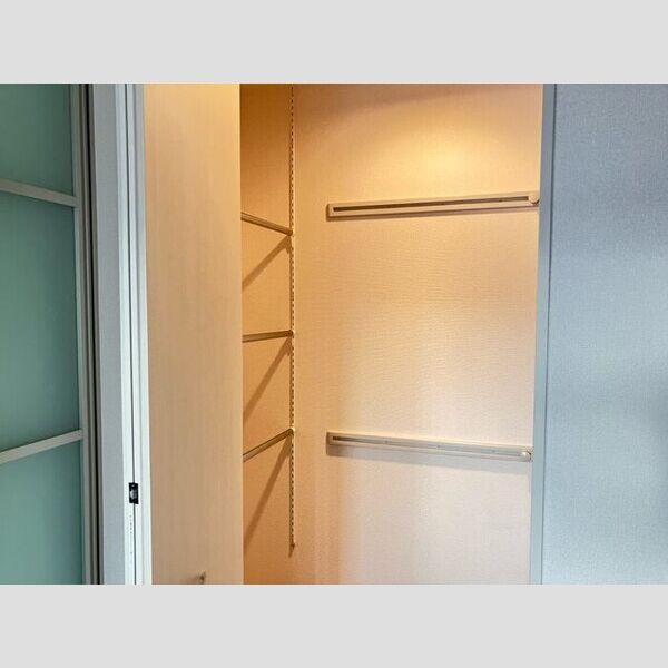 収納 (ワンステップクローゼット)