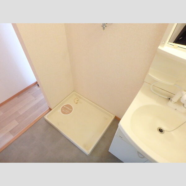 その他 (室内洗濯機置き場)