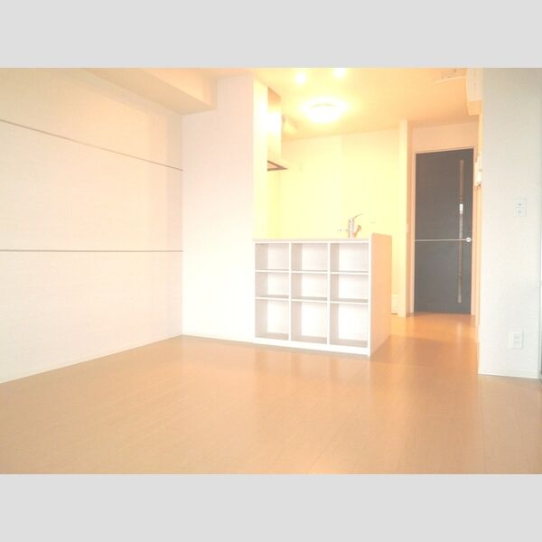 居室・リビング (LDK)