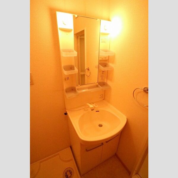 洗面所 (シャンプードレッサー)