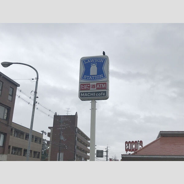 現地周辺 (ローソン田辺同志社前店)