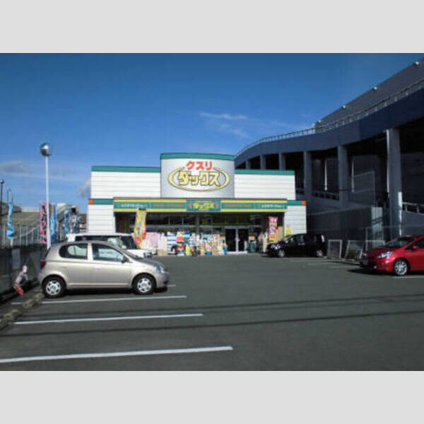 現地周辺 (ダックス<ドラッグストア>(610m・徒歩8分))