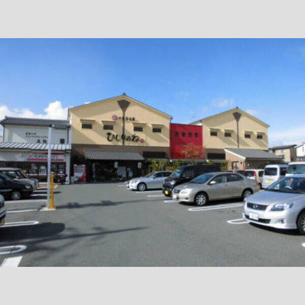 現地周辺 (『玉光湯　ひじりのね』<スーパー銭湯/天然温泉>(780m・徒歩10分))