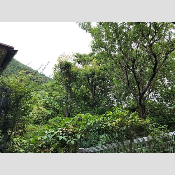 現地周辺 (眺望)