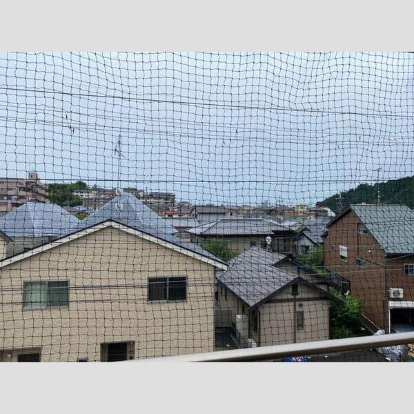 現地周辺 (眺望)