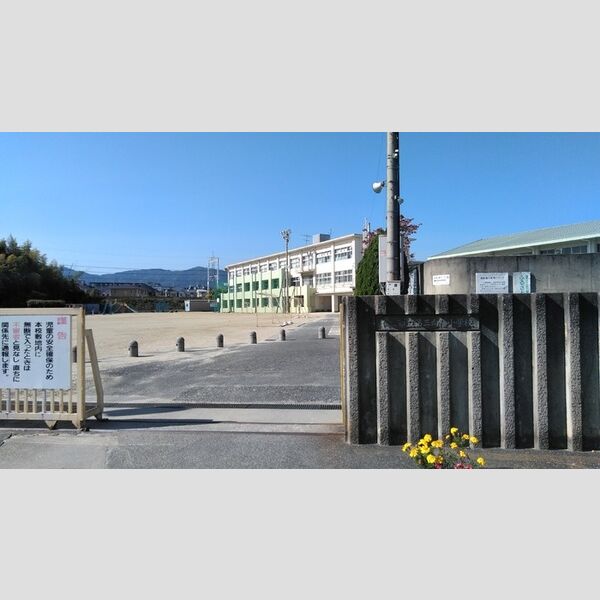 現地周辺 (第三向陽小学校)