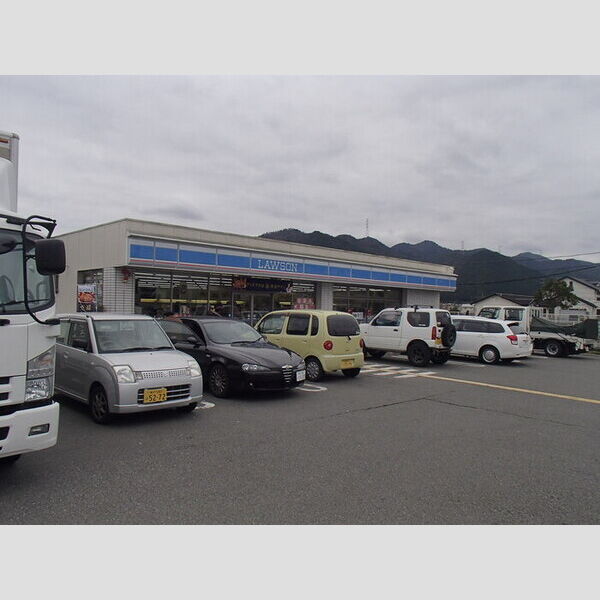 現地周辺 (ローソン篠山インター店(513m))