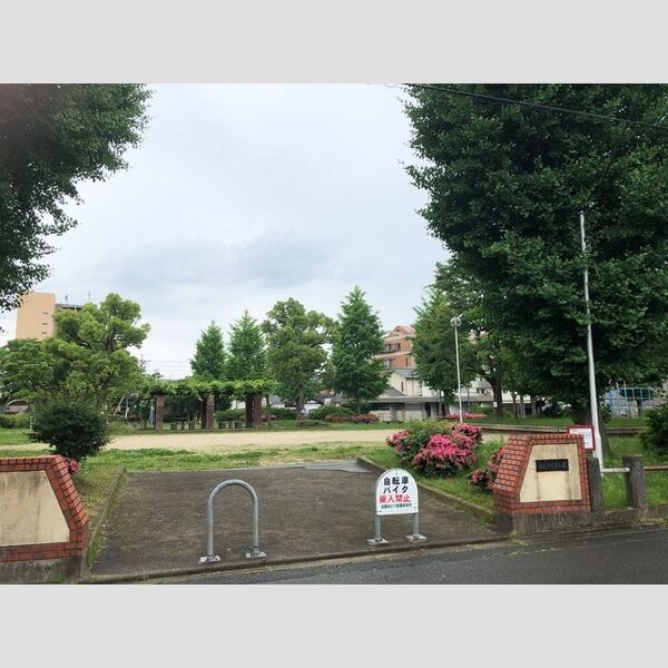 現地周辺 (西大丸児童公園)