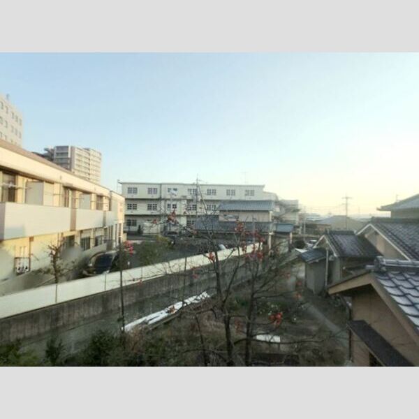 現地周辺 (眺望)