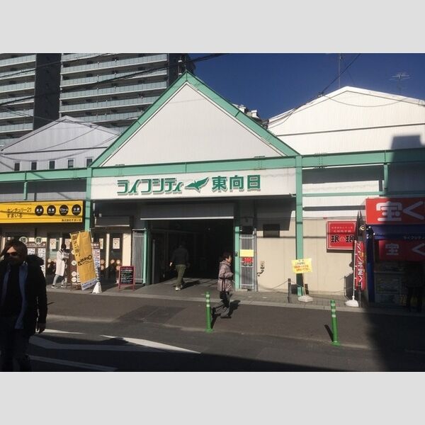 現地周辺 (ライフシティ東向日　(477m　徒歩6分))