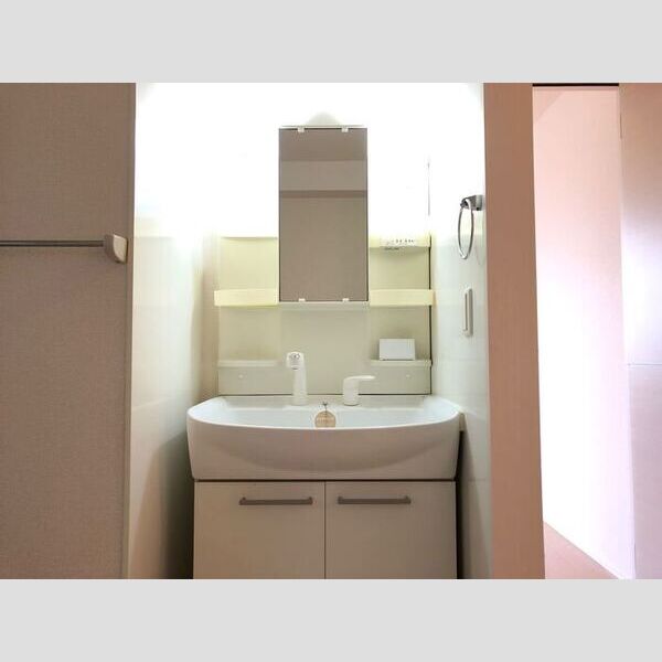 洗面所 (洗髪洗面化粧台)