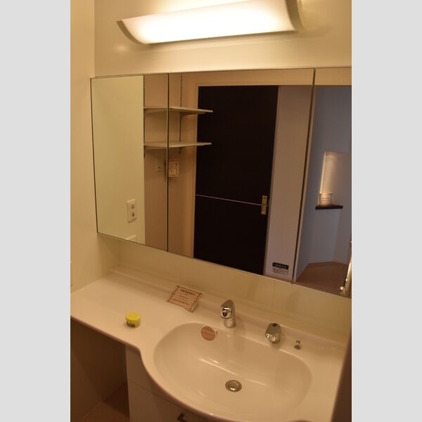 洗面所 (三面鏡・1200タイプ洗髪洗面化粧台)