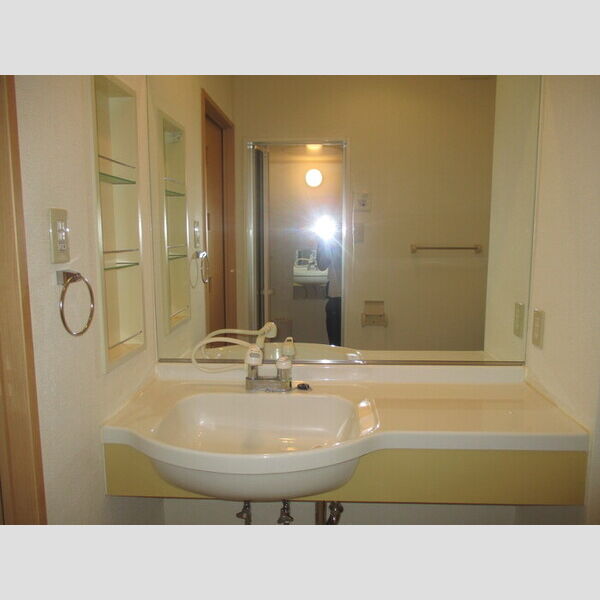 洗面所 (洗面化粧台)