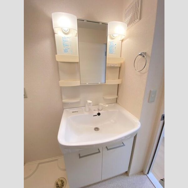 洗面所 (洗髪洗面化粧台)
