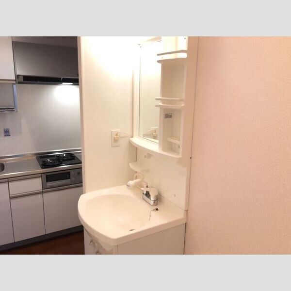 洗面所 (洗髪洗面化粧台)