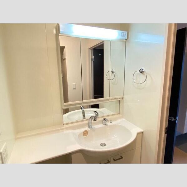 洗面所 (洗髪洗面化粧台)