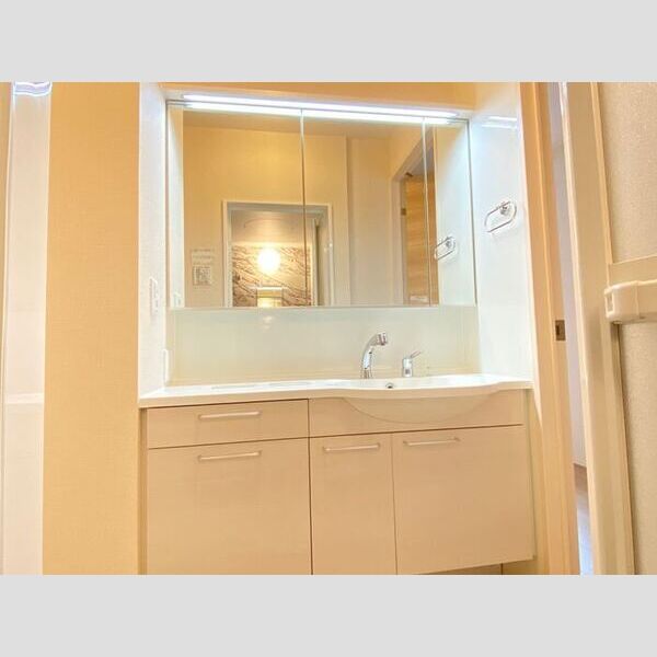 洗面所 (洗髪洗面化粧台)