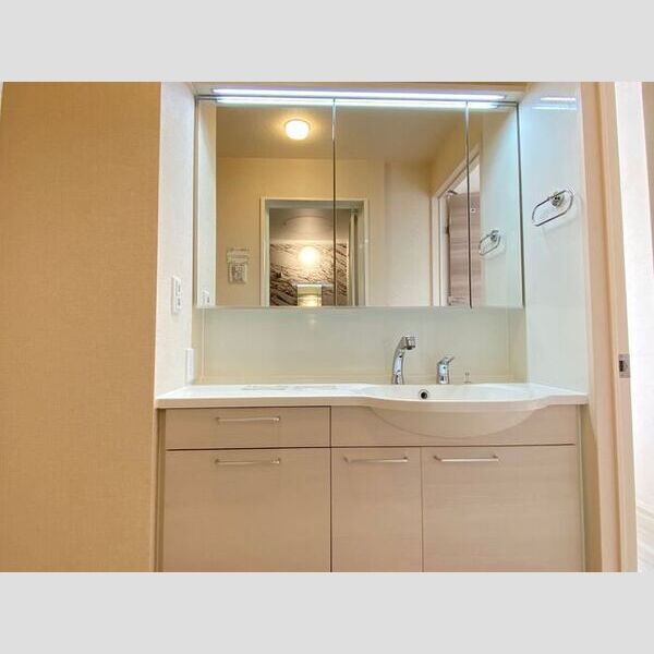 洗面所 (洗髪洗面化粧台)