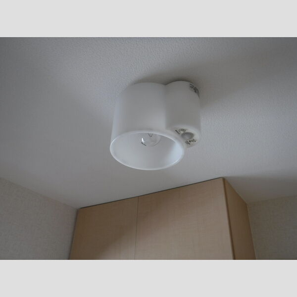 その他 (玄関天井センサーライト)