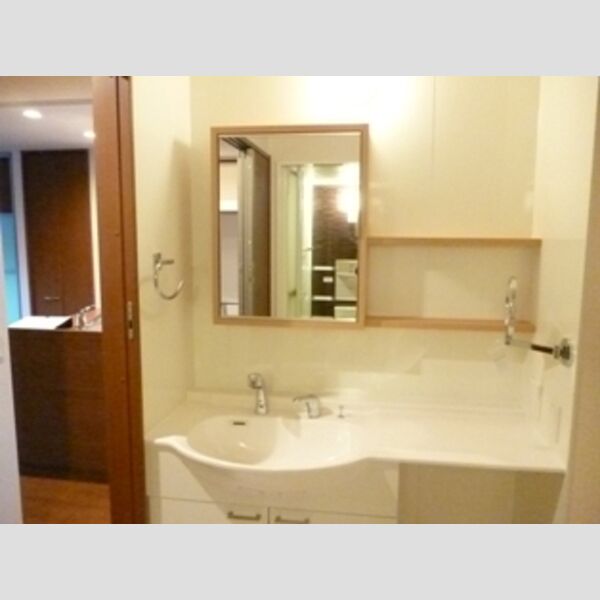 洗面所 (洗髪洗面化粧台)