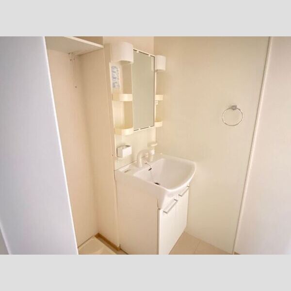 洗面所 (洗髪洗面化粧台)