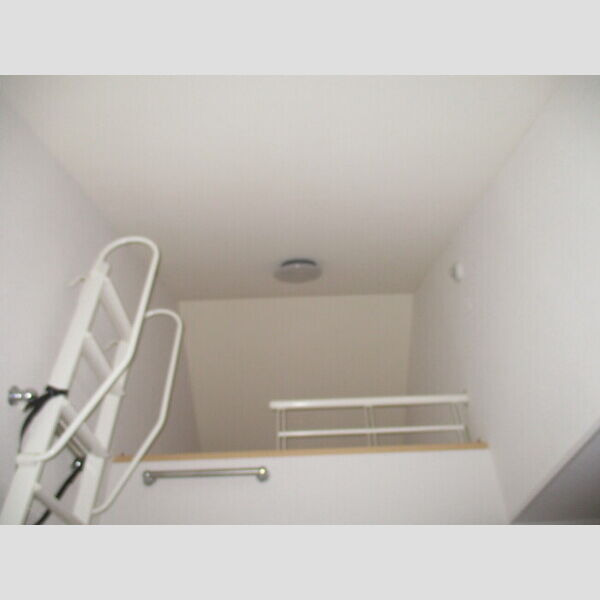 その他 (小屋裏収納)