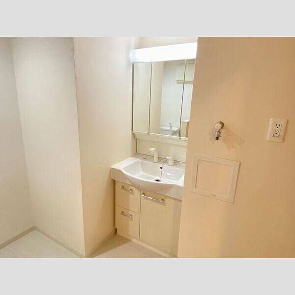 洗面所 (洗髪洗面化粧台)