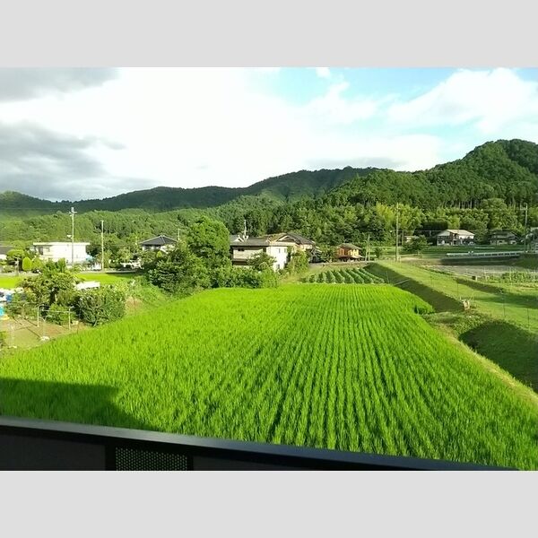 その他 (眺望)