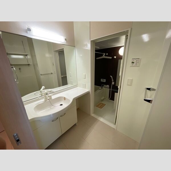 洗面所 (洗髪洗面化粧台)