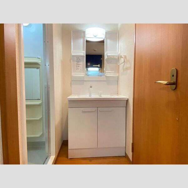 洗面所 (洗髪洗面化粧台)