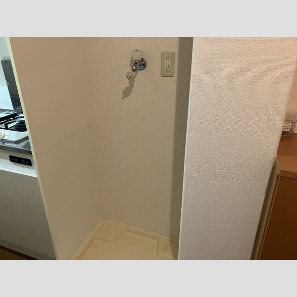 その他 (洗濯機置場)