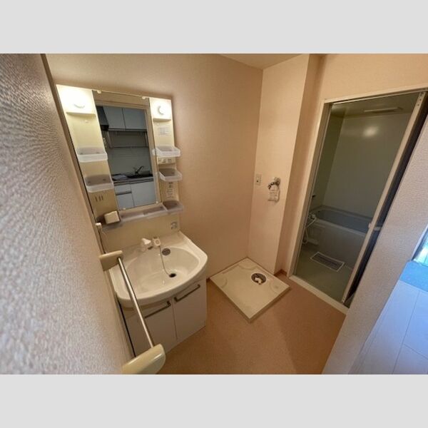 洗面所 (洗面所)