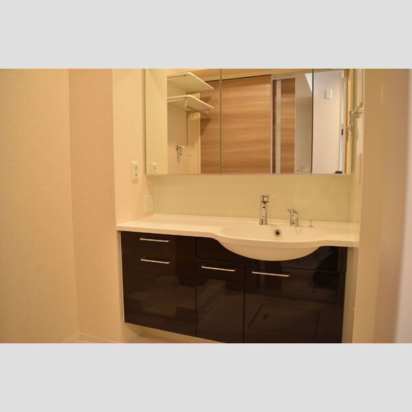 洗面所 (洗面化粧台)