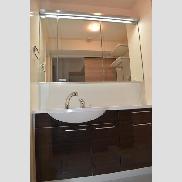 洗面所 (洗髪洗面化粧台)