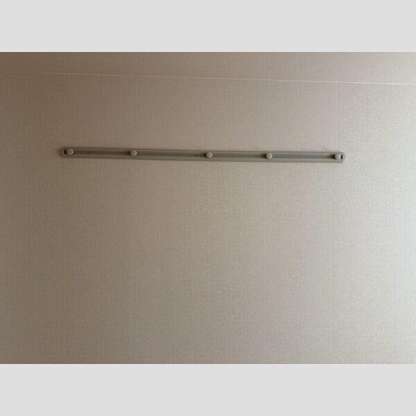 その他 (ハングバー)