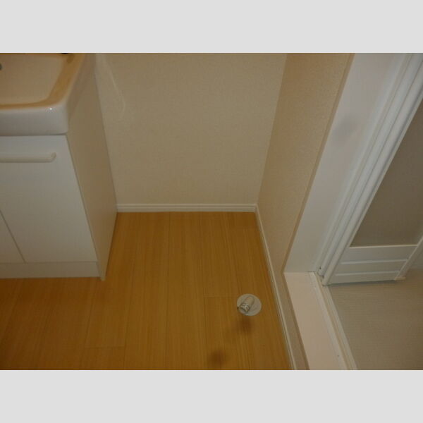 洗面所 (洗濯機置場)