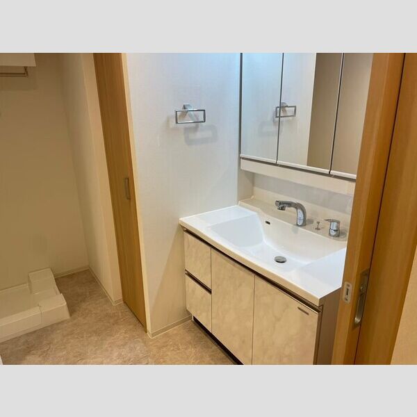 洗面所 (洗髪洗面化粧台)